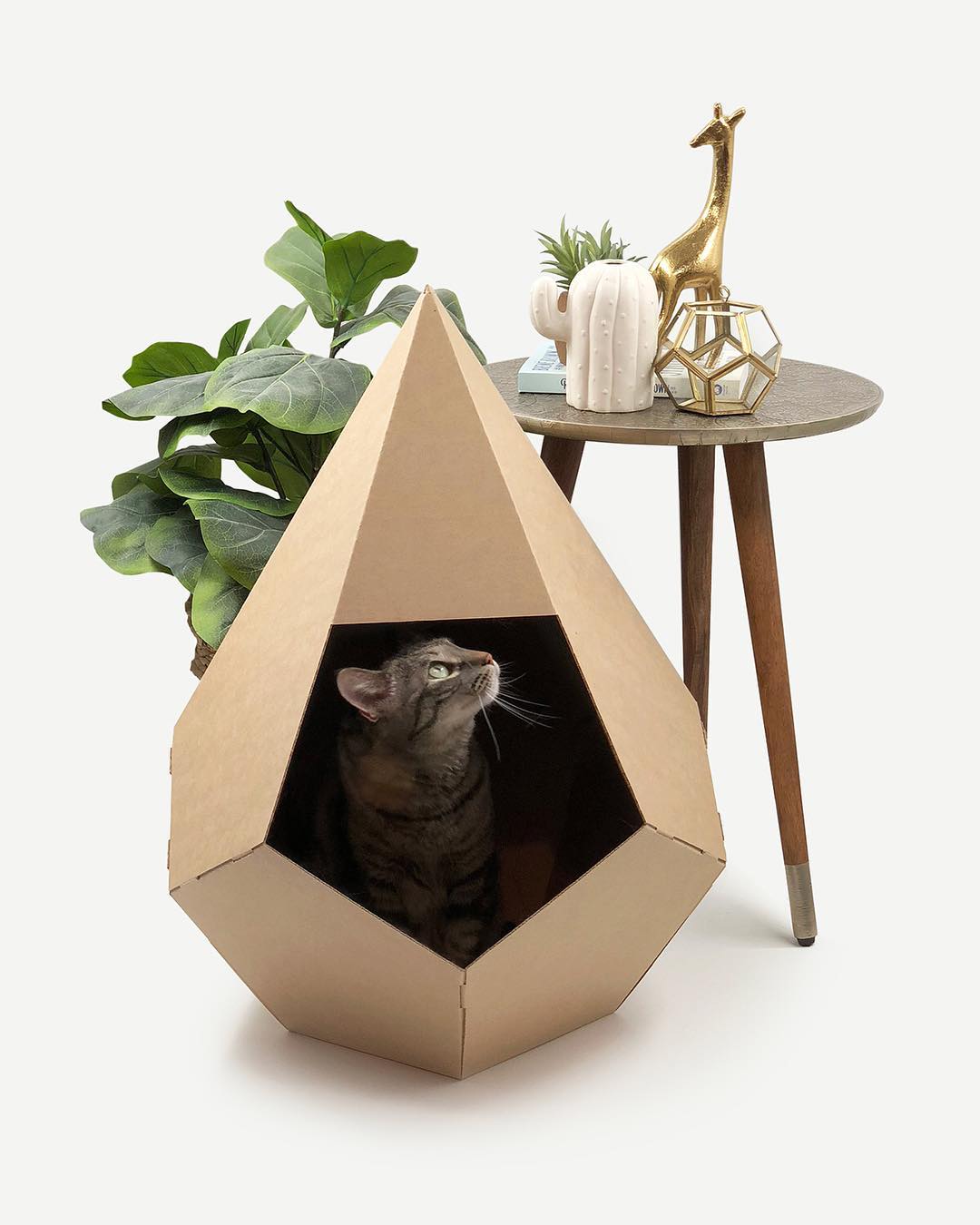 como hacer una casa para gatos de carton