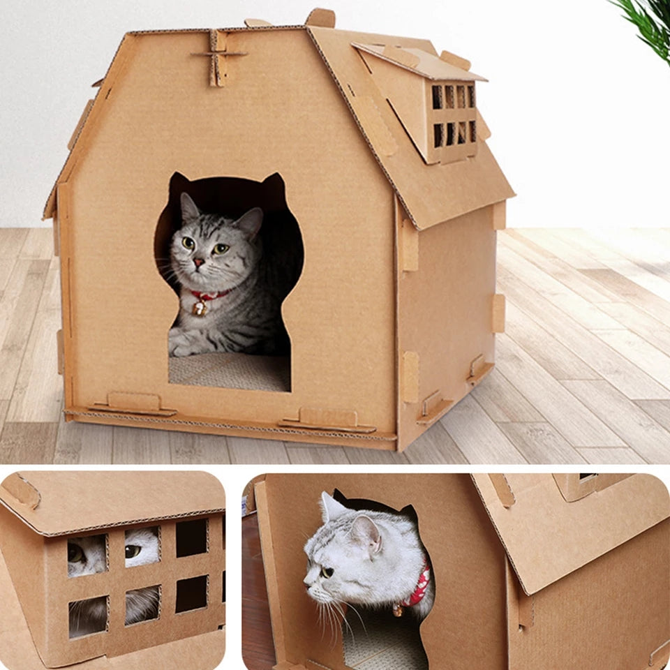 house cat pdf